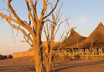 Little Kulala Lodge