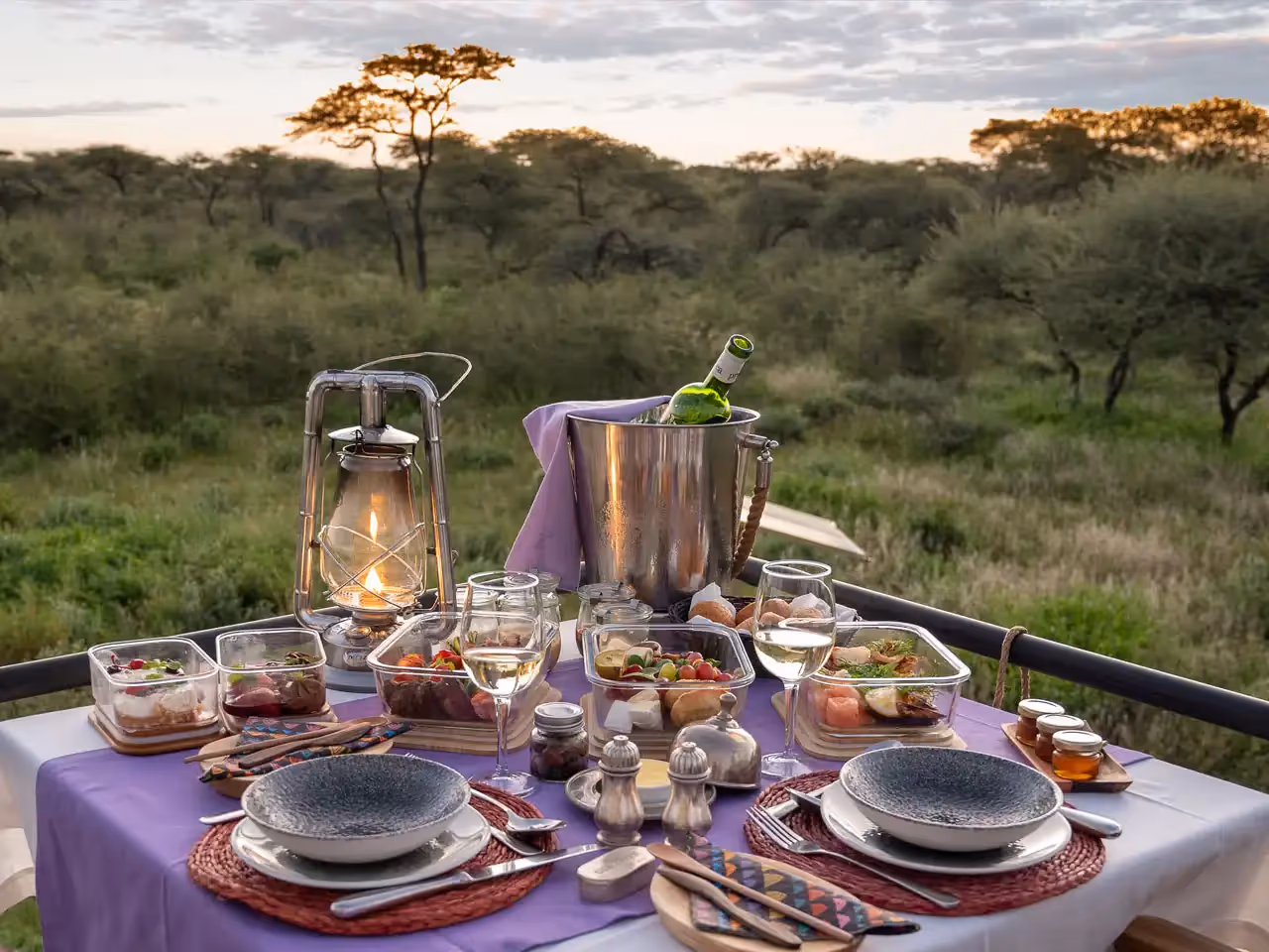 Onguma Dream Cruiser