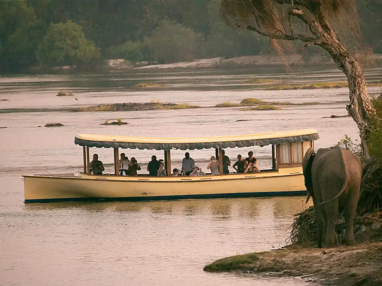 The Palm River Hotel