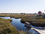 Enjoy water safaris in Moremi