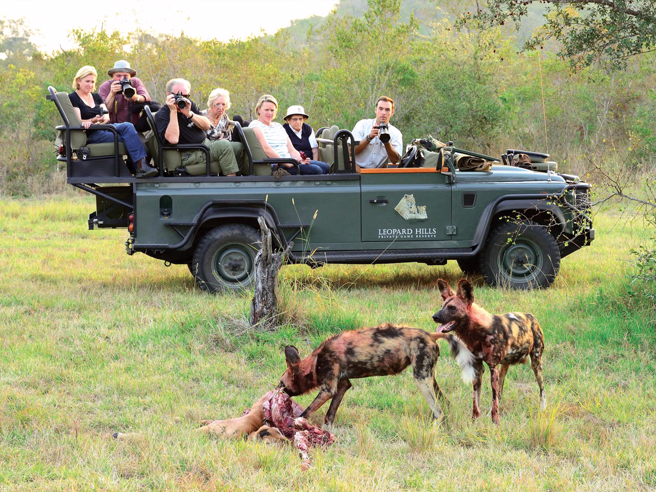 Leopard Hills Private Game Lodge