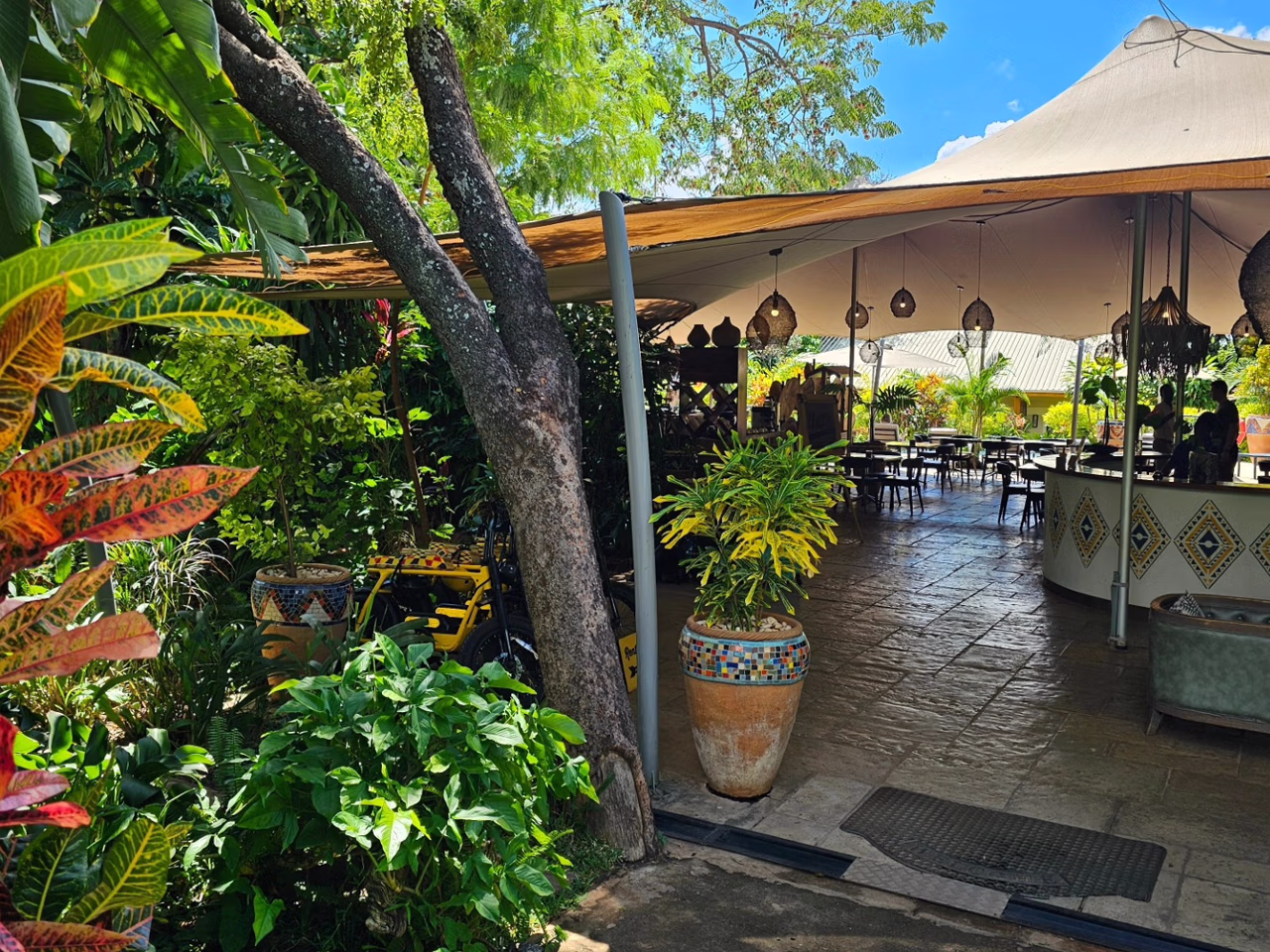 Shongwe Oasis