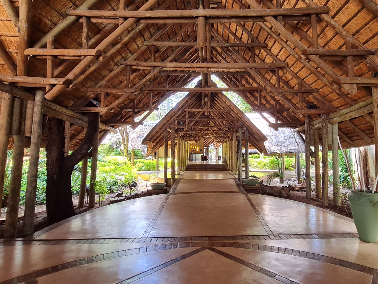 Shongwe Oasis
