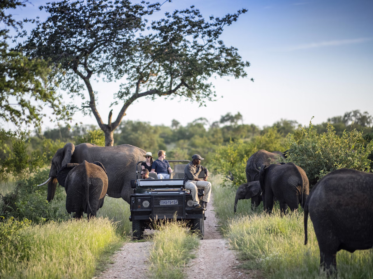 Simbavati Camp George