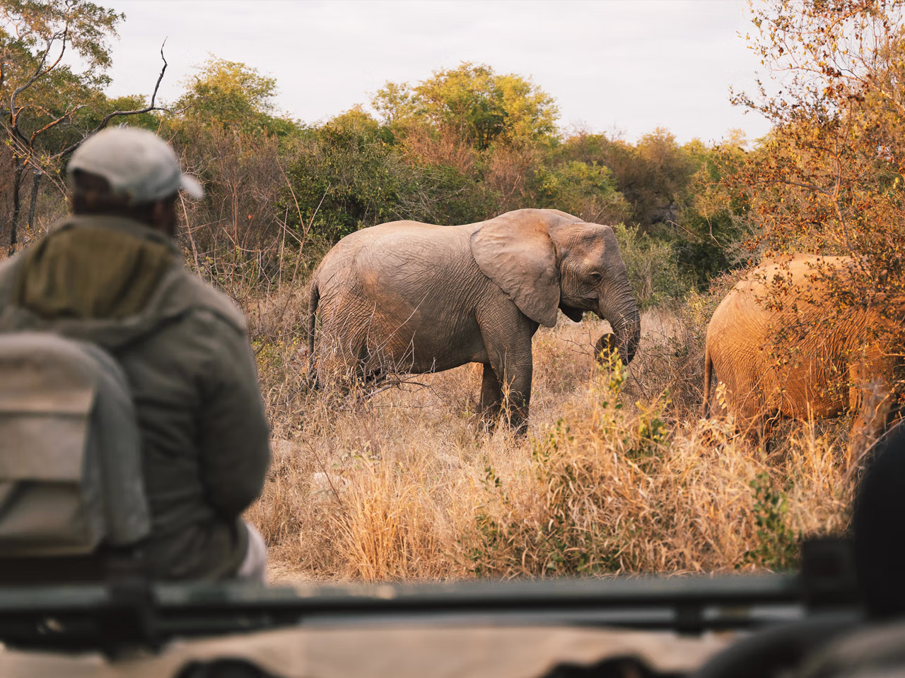 Simbavati Hilltop Lodge