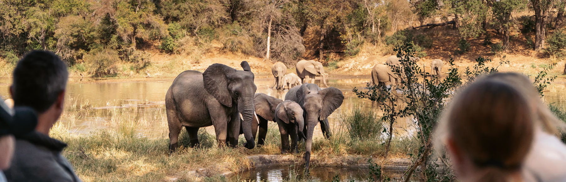 Simbavati River Lodge