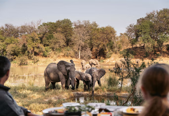 Simbavati River Lodge
