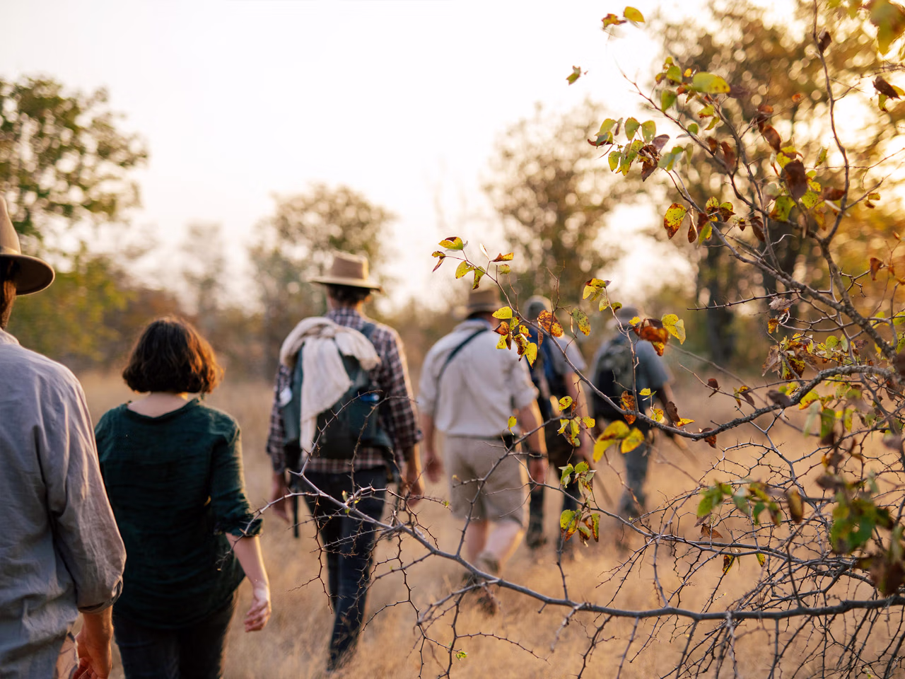 Simbavati Trails Camp