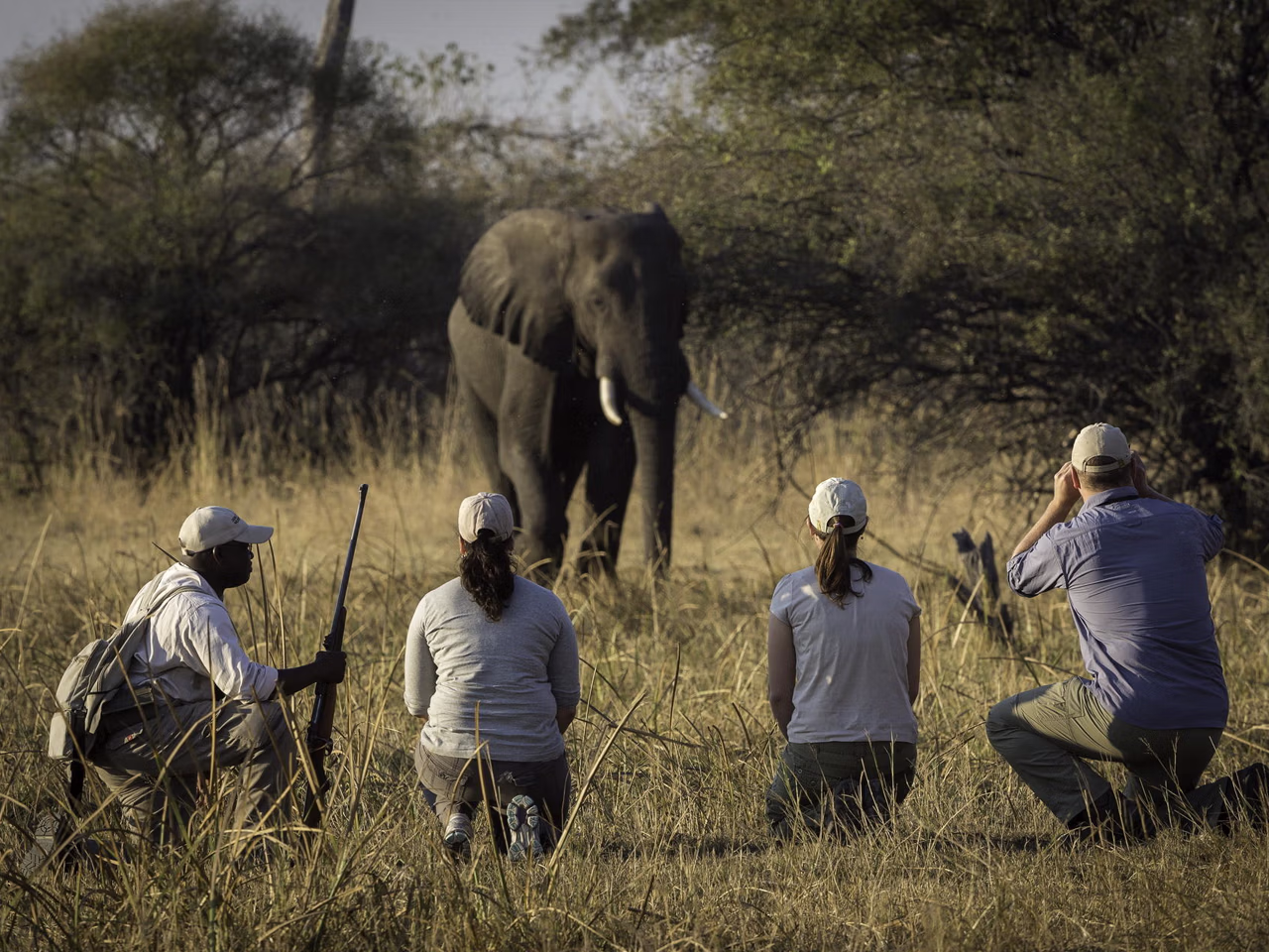 Linyanti Tented Camp