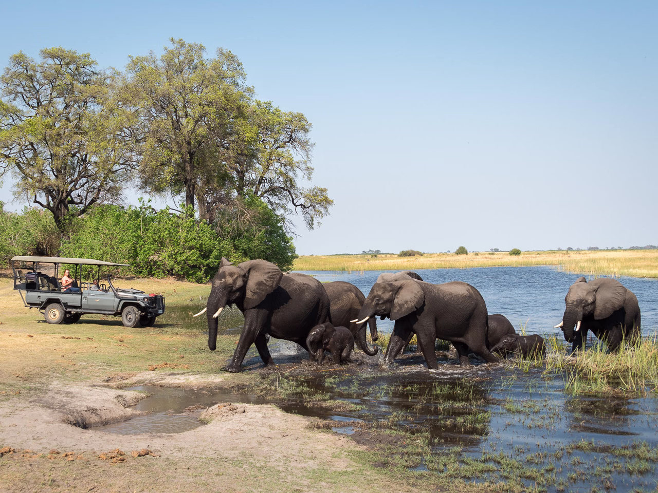 Linyanti Tented Camp