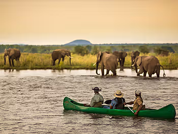 Water safaris with elephant in the background