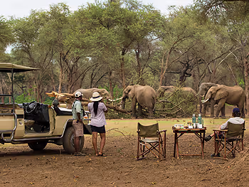 Sundowner drinks with elephants in the background