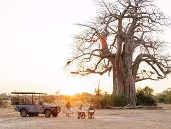 Sundowner spot in Zambia - baobab tree