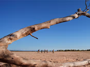 Walking safaris in Zambia