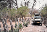 35 Years of Namibia Tours & Safaris