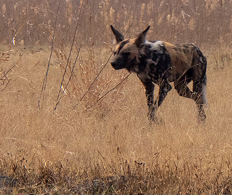 Khaudum National Park