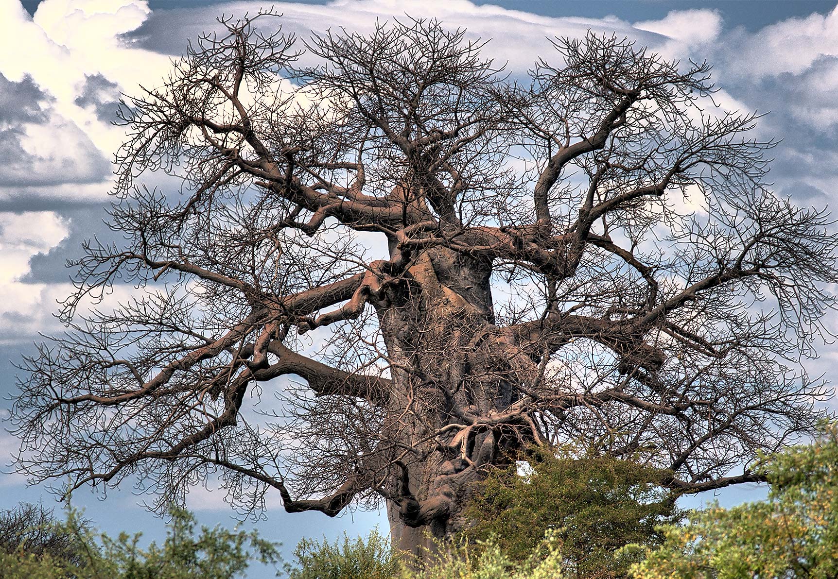 Bushmanland inline image 5cb5b1b7bfbc8