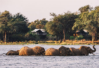 Anabezi Camp