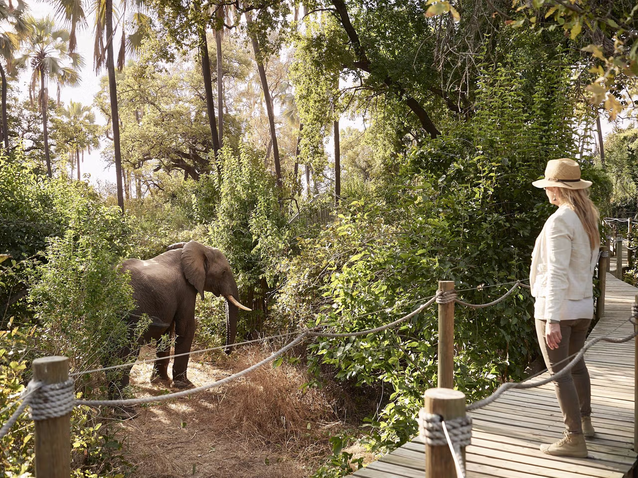 Victoria Falls River Lodge