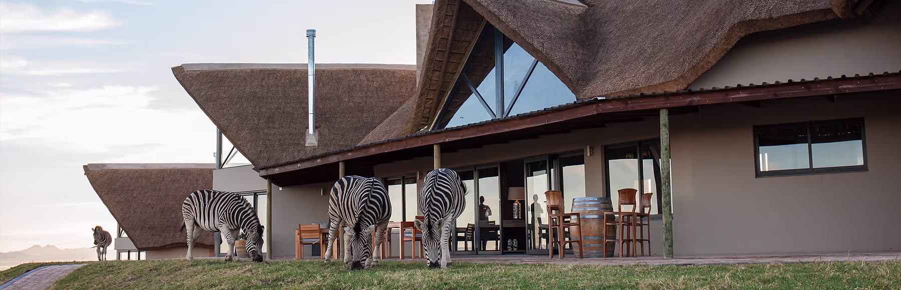 JBay Zebra Lodge