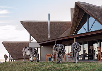 JBay Zebra Lodge