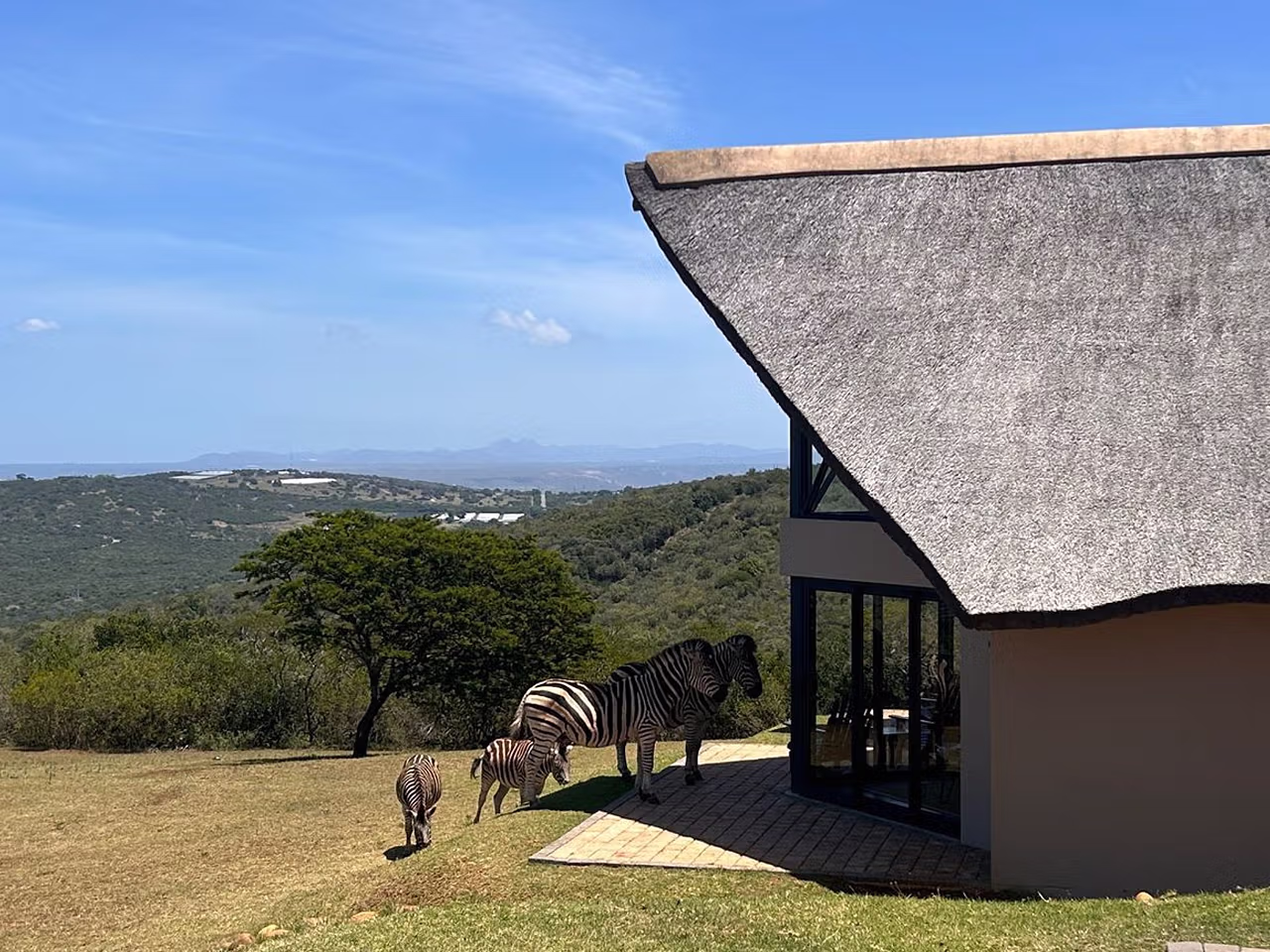JBay Zebra Lodge