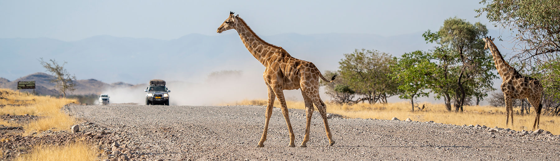 Namibia Self-drive Safaris