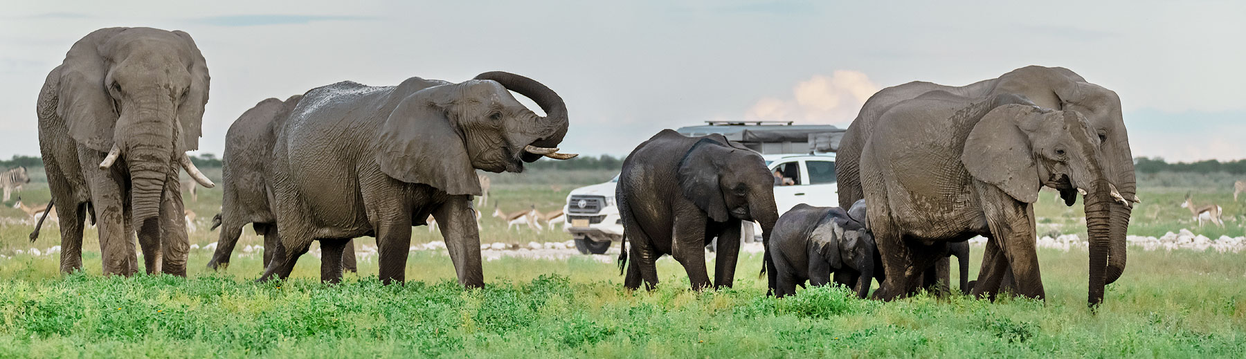 Botswana Self-drive Safaris