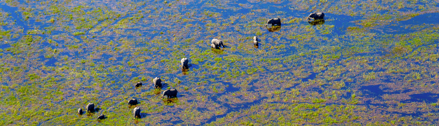 Botswana Fly-in Safaris