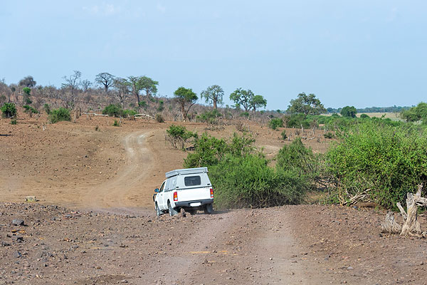 A safari vehicle on a windy, dusty road in Botswana