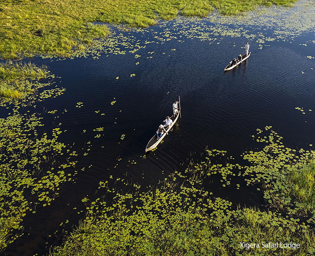 An aerial view of people on a mokoro safari