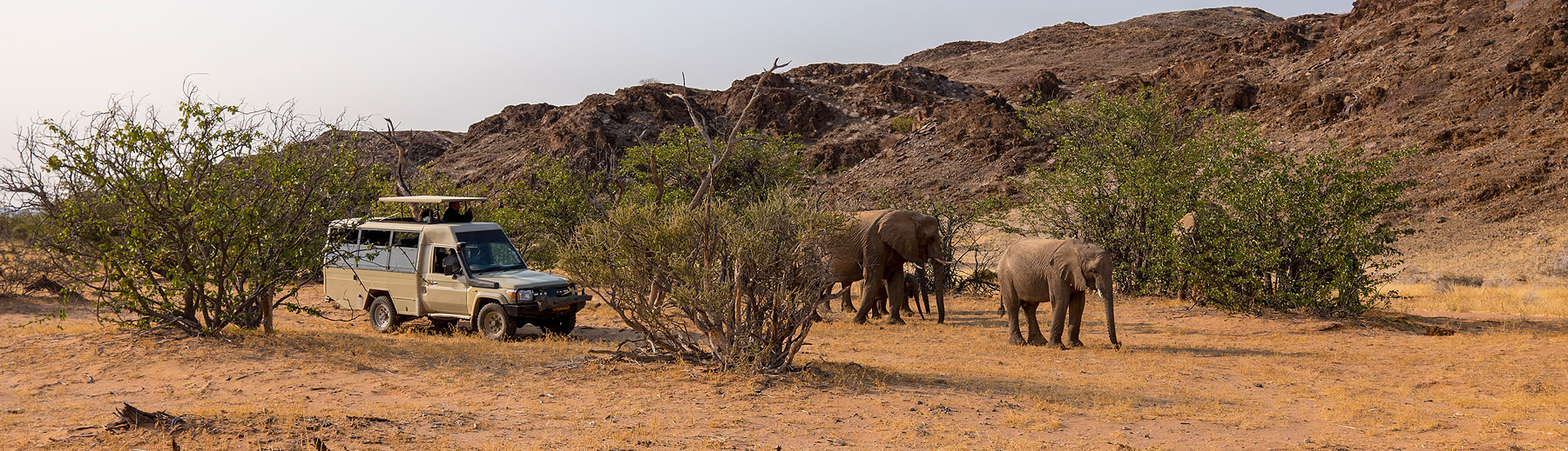Namibia Private Guided Safaris