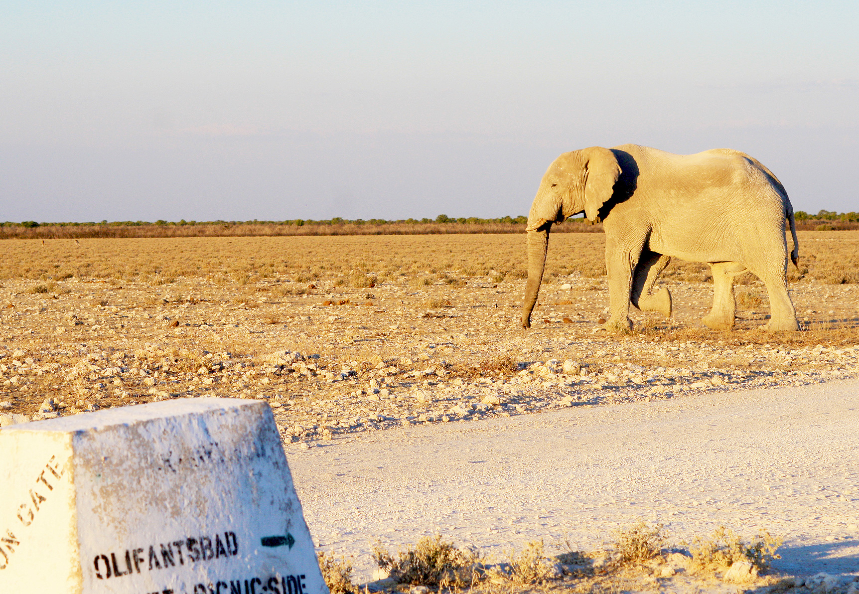 About Self-drive Tours inline image 5bf28c3026c4c