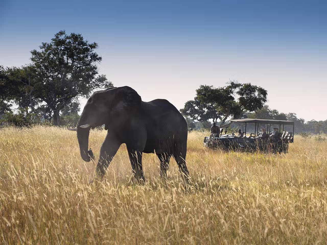 Xaranna Okavango Delta Camp