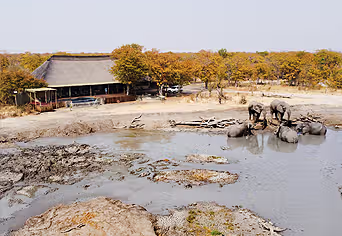 Camp Kuzuma