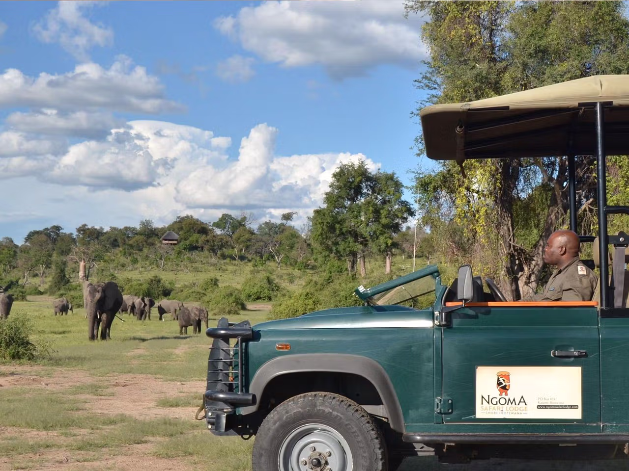 Ngoma Safari Lodge
