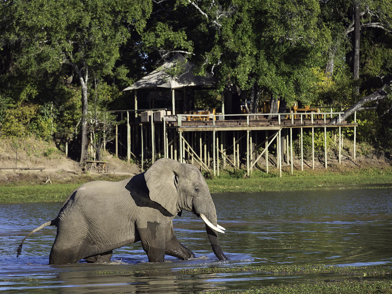 Chindeni Bushcamp
