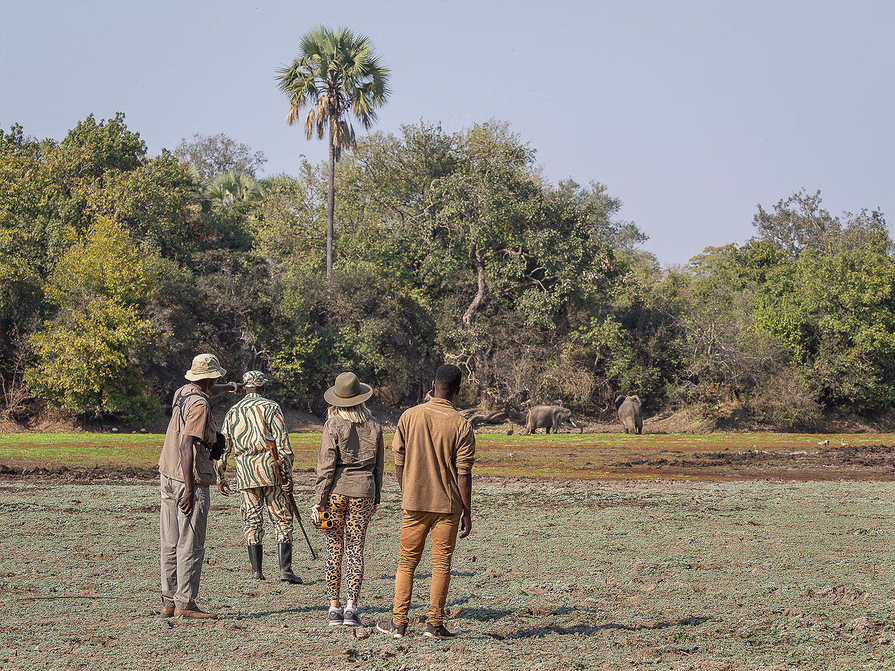 Kafunta River Lodge