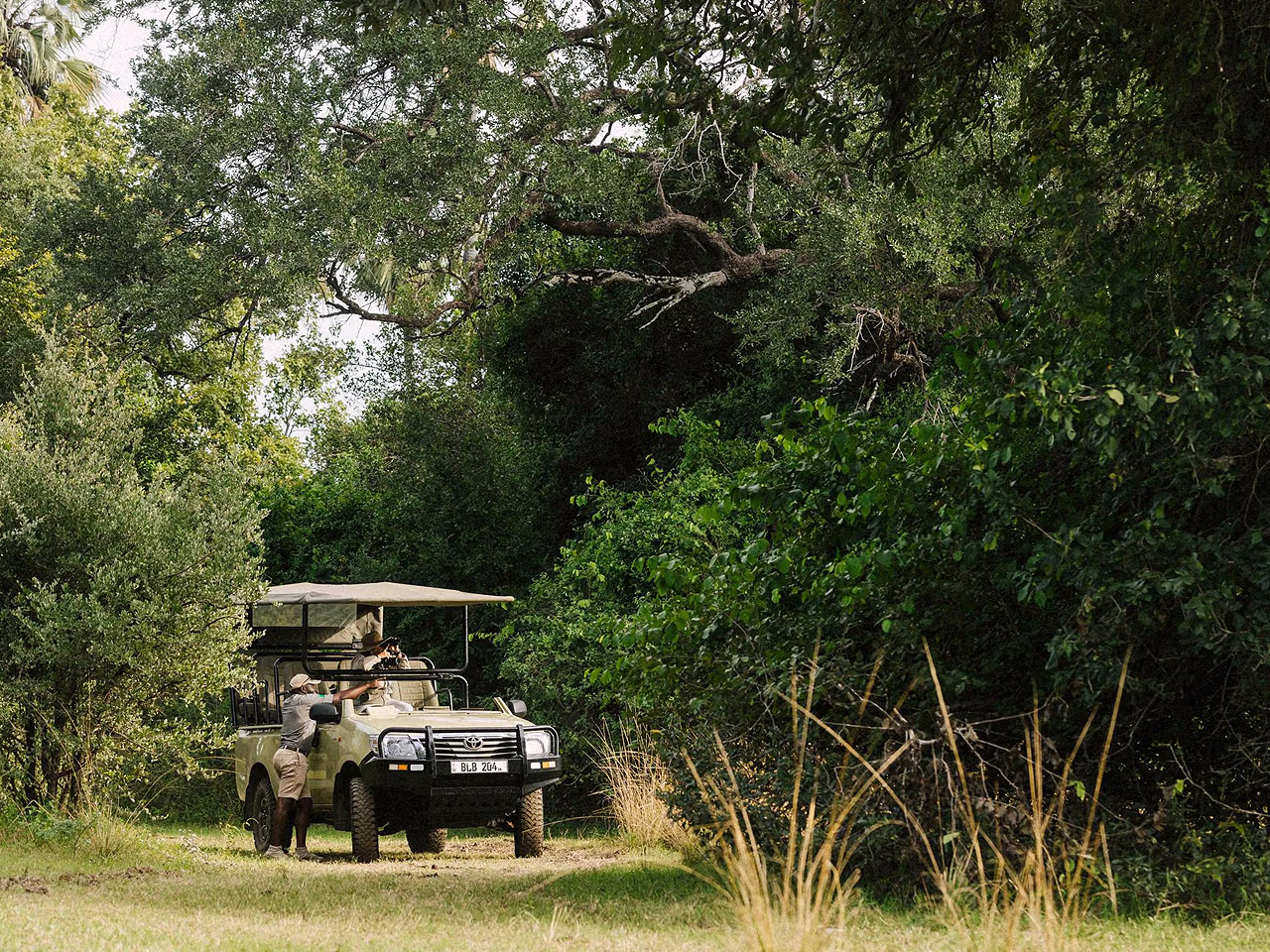Kafunta River Lodge