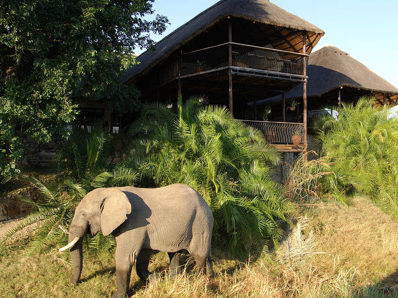 Mukambi Safari Lodge