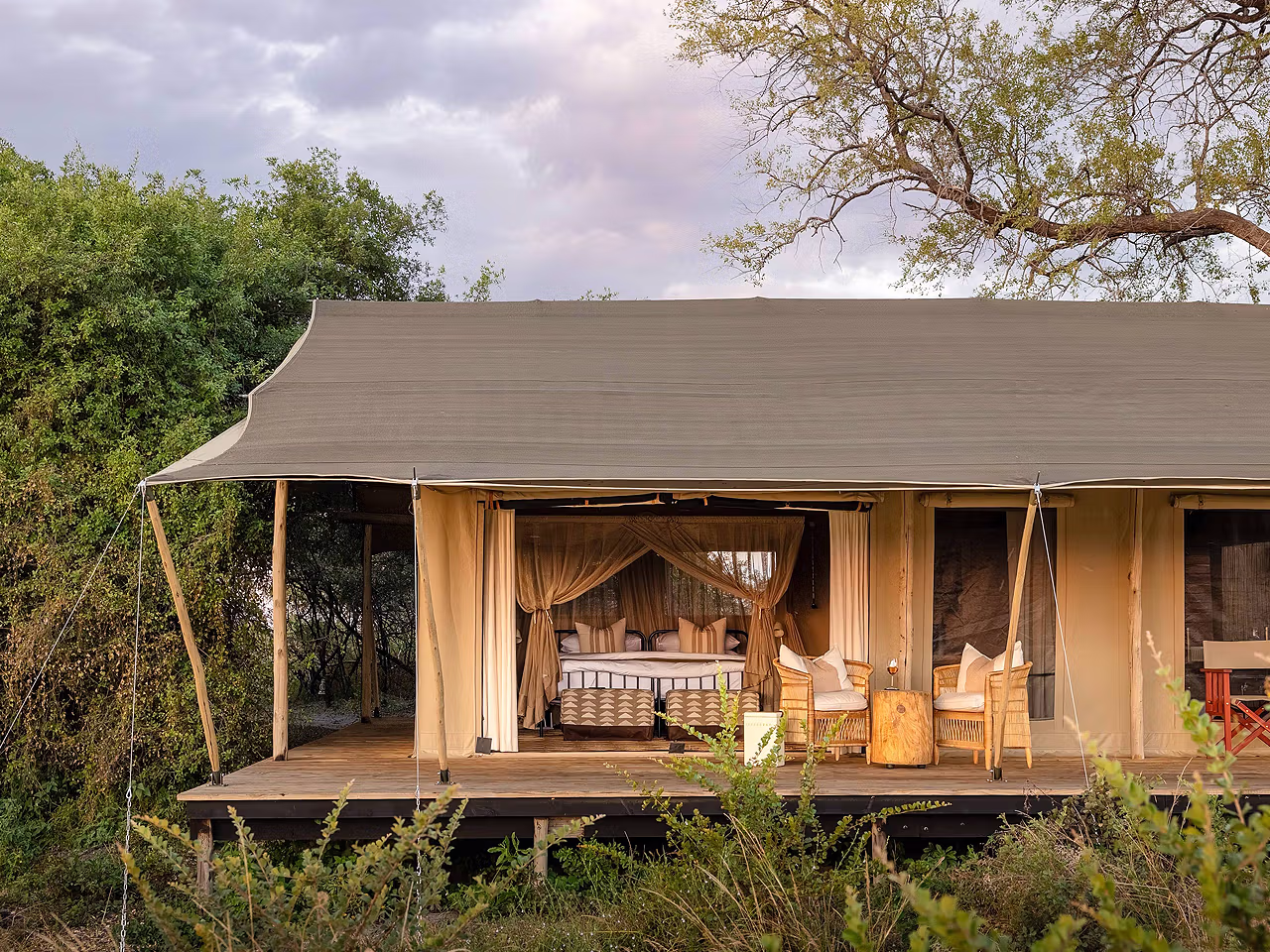 Nkasa Linyanti