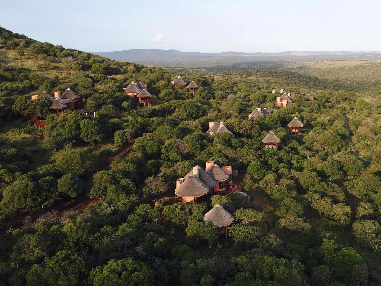 Thanda Safari Lodge