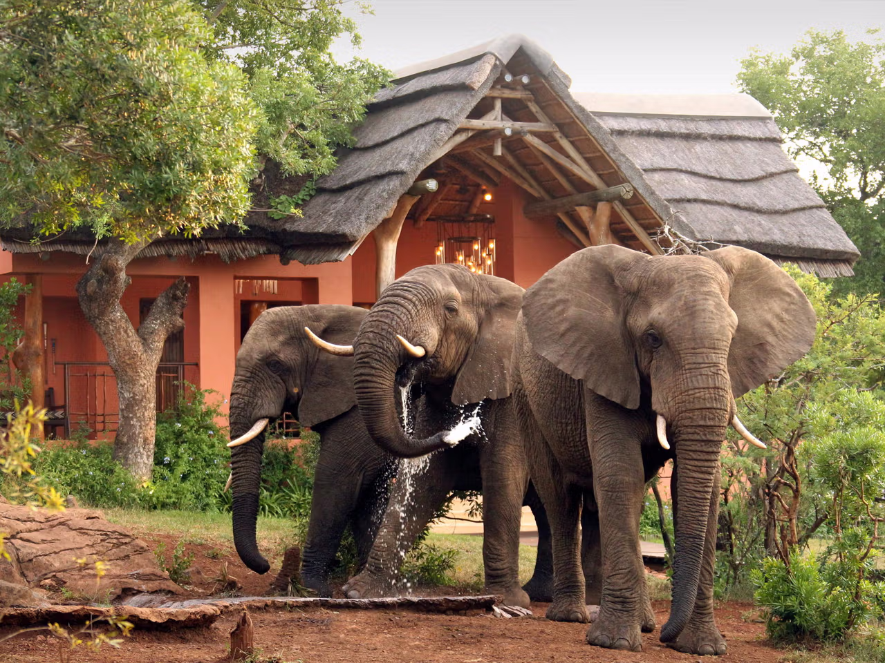 Thanda Safari Lodge