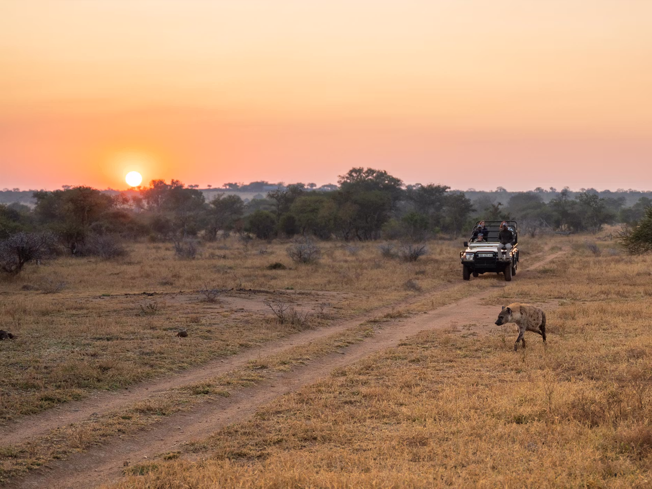 Walkers Plains Camp