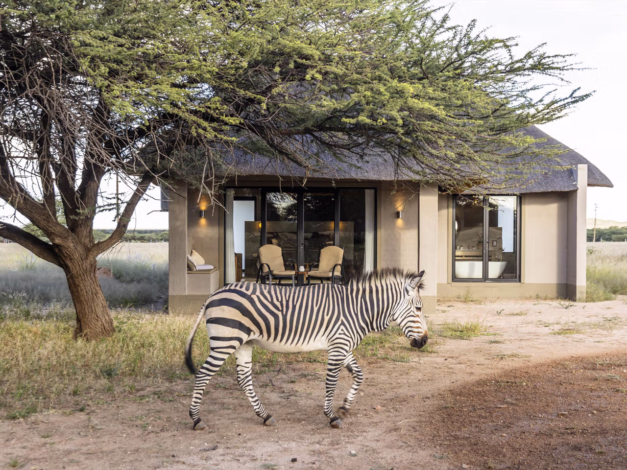 Avenir Safari Group