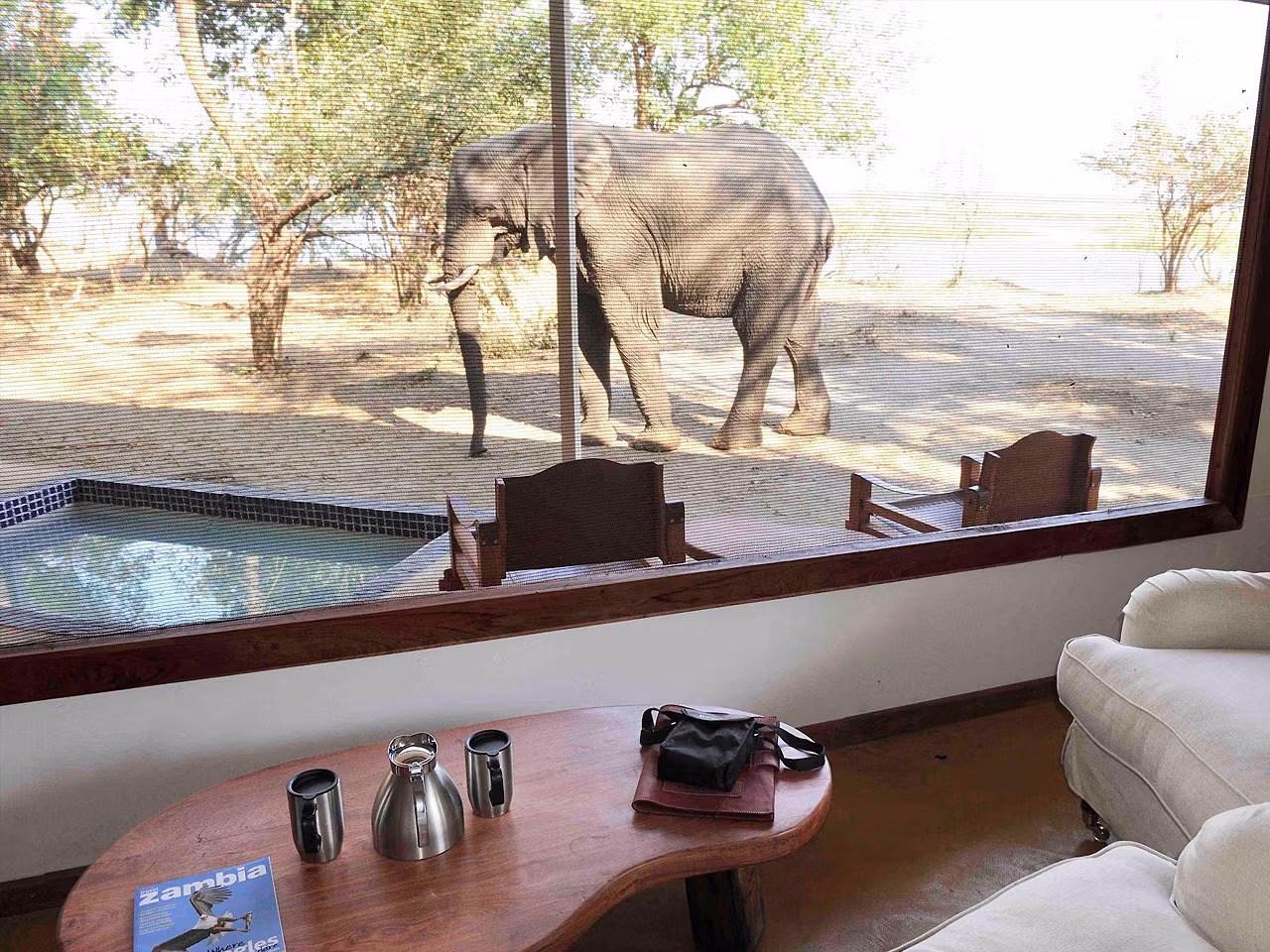 Green Safaris Potato Bush Camp
