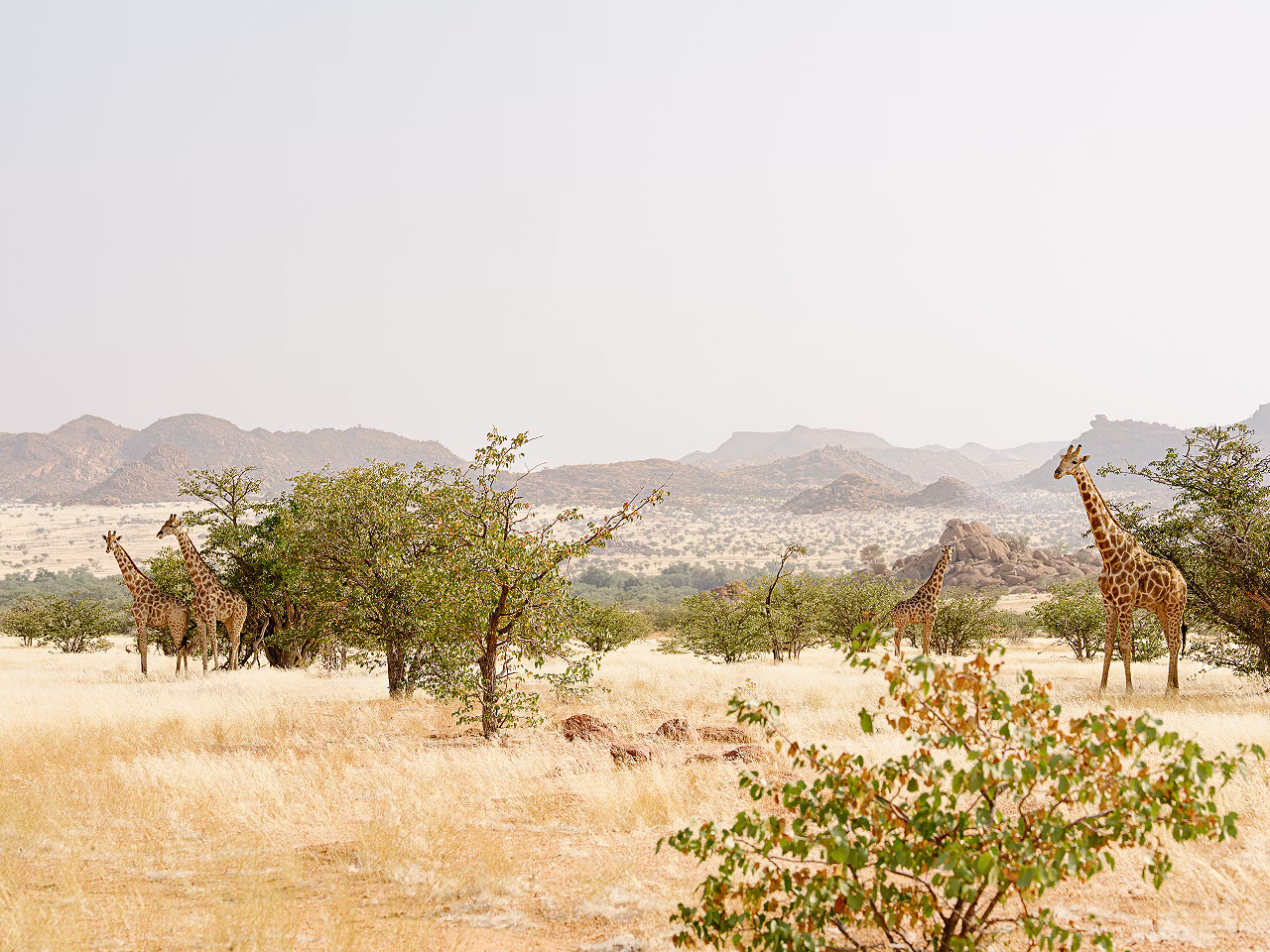 Sky & Stone Tented Camps
