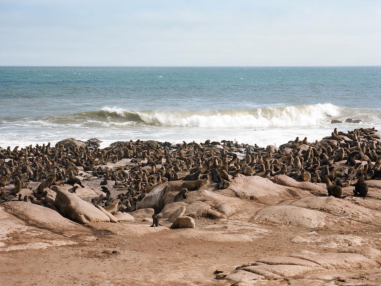 Skeleton Coast inline image 5ddf7f560cd7c