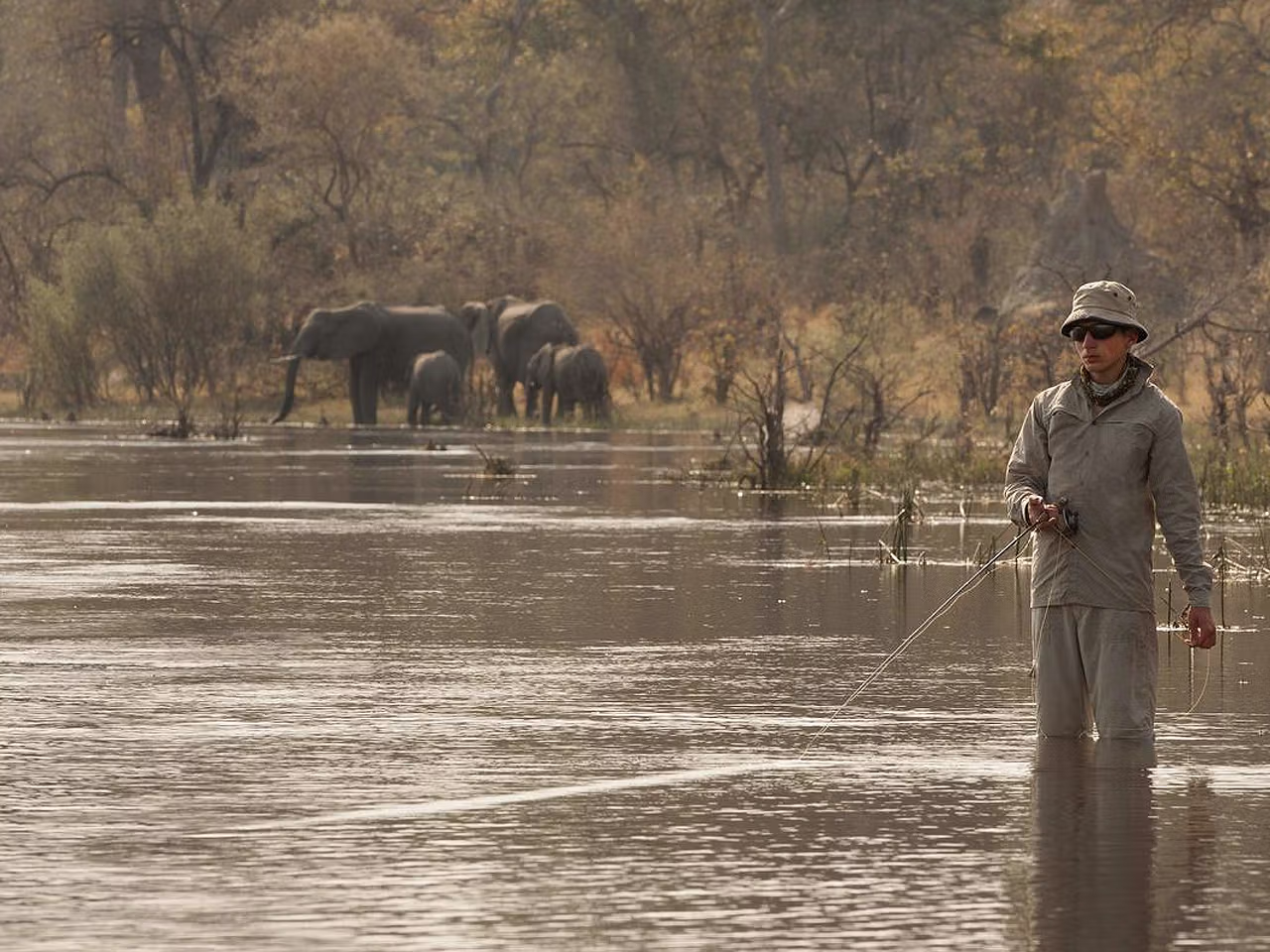 Okavango Explorers Camp