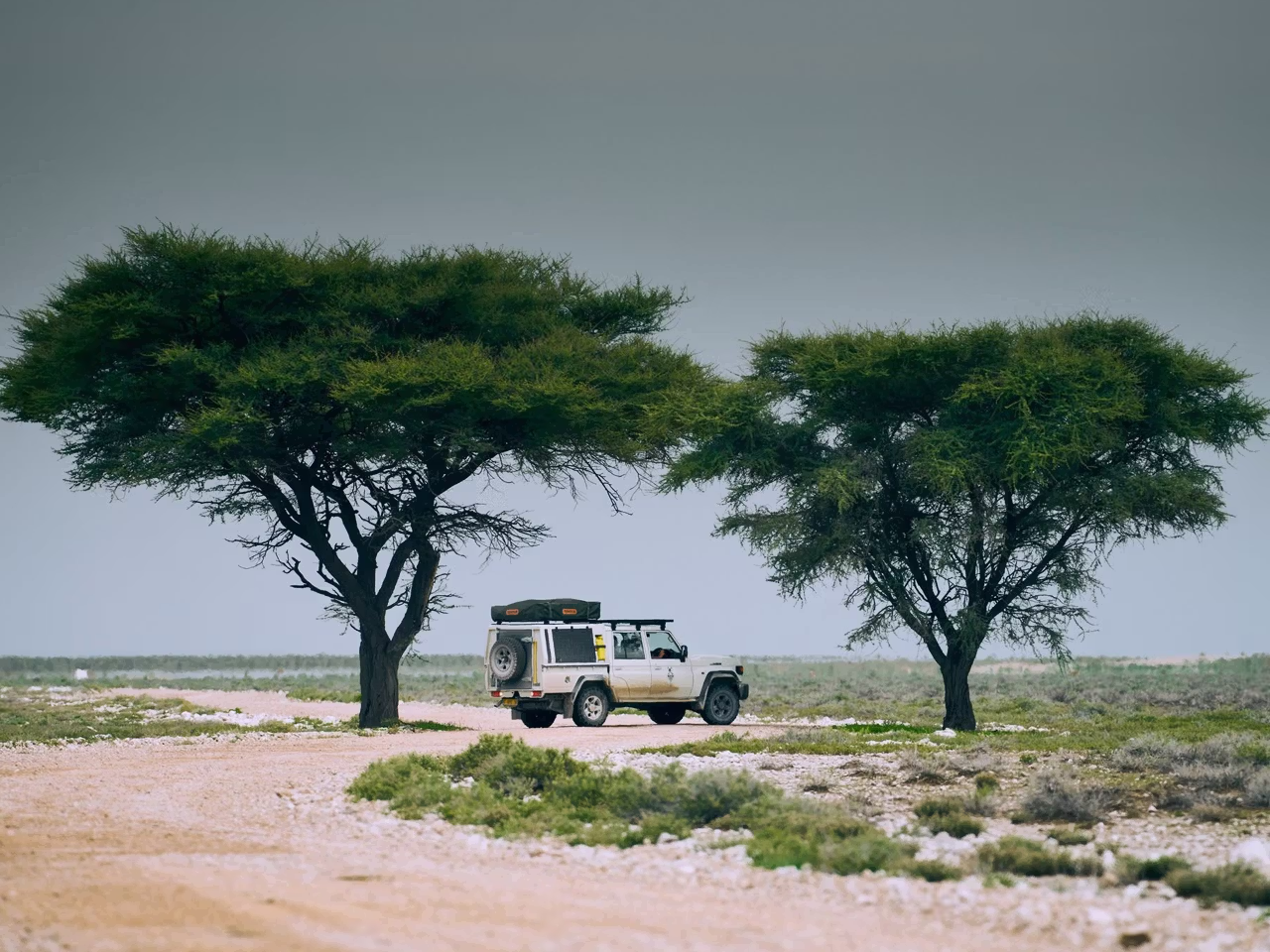 Etosha Omusati Lodge